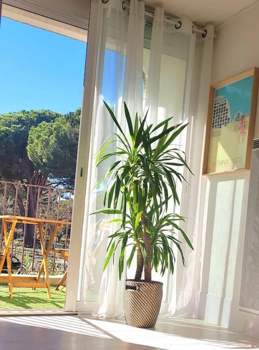 Superbe Studio Au Calme A 8Mn De La Plage La Grande-Motte Exterior foto